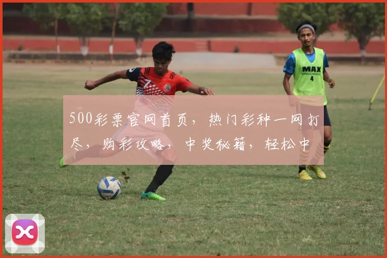 500彩票官网首页，热门彩种一网打尽，购彩攻略，中奖秘籍，轻松中奖，尽在掌握