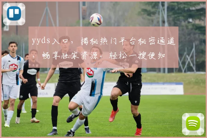 yyds入口，揭秘热门平台秘密通道，畅享独家资源，轻松一搜便知